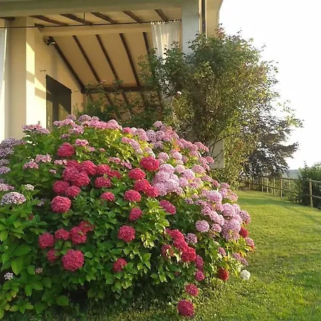 Villa Valeriana - Vista Esclusiva Su Monte Isola - D'iseo Sulzano